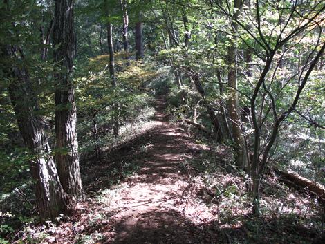 20161104hike (67)